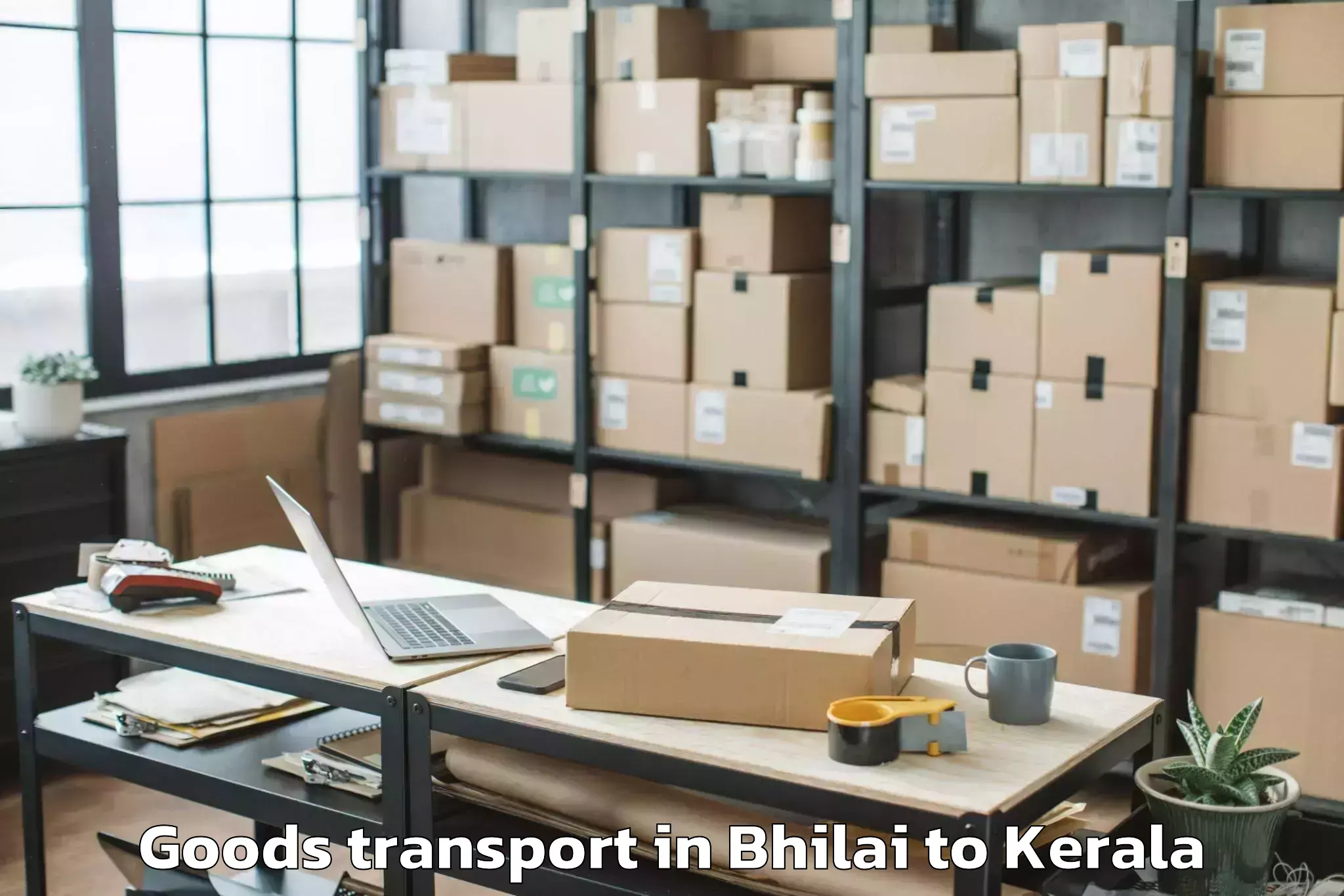 Professional Bhilai to Perumpavur Goods Transport